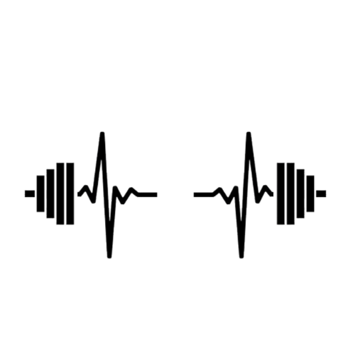 Gym Vocal